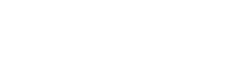 Liva Icon